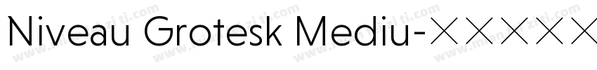 Niveau Grotesk Mediu字体转换